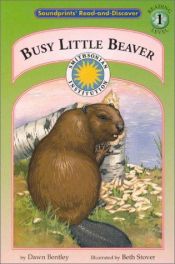book cover of Busy Little Beaver (Soundprints' Read-And-Discover: Level 1) by Dawn Bentley