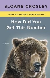 book cover of How Did You Get This Number by Sloane Crosley