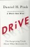 Drive : de verrassende waarheid over wat ons motiveert