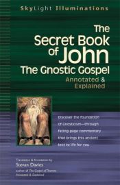 book cover of The secret book of John by Stevan L. Davies