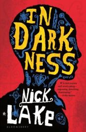 book cover of In Darkness by Nick Lake