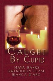 book cover of Caught by Cupid by Bianca D'Arc