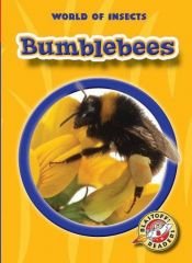 book cover of Bumblebees (Blastoff Readers 2: World of Insects) by Emily K. Green