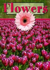 book cover of Flowers (Plant Parts) by Lynn M. Stone