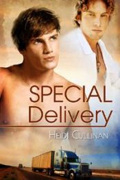 book cover of Special Delivery by Heidi Cullinan