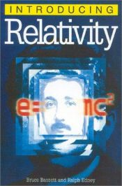 book cover of Introducing Relativity (Introducing Series) by Bruce Bassett