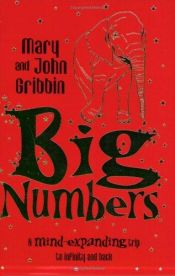 book cover of Big Numbers: A Mind-Expanding Trip to Infinity and Back by John Gribbin