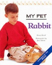 book cover of Rabbit (My Pet) by Honor Head