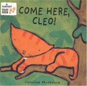 book cover of Come Here Cleo (Cleo the Cat) by Stella Blackstone