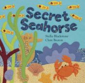 book cover of Secret Seahorse by Stella Blackstone