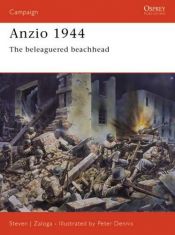 book cover of ANZIO 1944 by Steven Zaloga