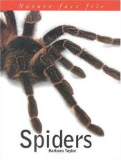 book cover of Spiders by Barbara Taylor