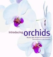 book cover of Introducing Orchids by Brian Rittershausen