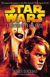 book cover of Star wars : labyrint van het kwaad by James Luceno