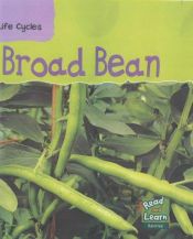 book cover of Broad Bean (Read & Learn: Life Cycles) by Richard Spilsbury