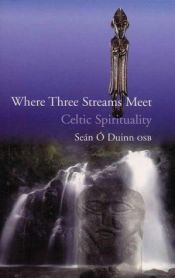 book cover of Where Three Streams: Meet: Celtic Spirituality by Sean O Duinn