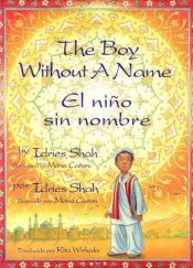 book cover of The Boy Without a Name by Idries Shah