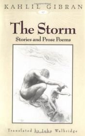 book cover of The Storm by Khalil Gibran