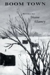 book cover of Boom Town by Diane Glancy