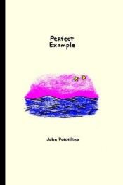 book cover of Perfect Example by John Porcellino