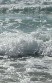 book cover of Cliffs by Olivier Adam