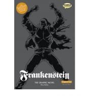 book cover of Frankenstein: The Graphic Novel by Mary Shelley