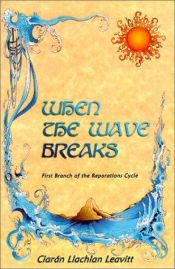 book cover of When the Wave Breaks by Ciaran Llachlan Leavitt