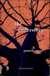 book cover of The Understory by Pamela Erens