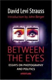 book cover of Between the Eyes: Essays on Photography by David Levi Strauss