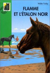 book cover of Flamme et l'étalon noir by Walter Farley