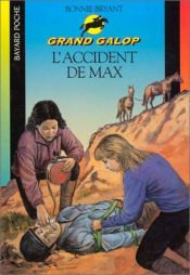 book cover of L'Accident de Max by B.B.Hiller