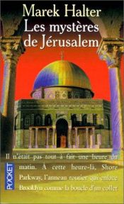 book cover of De geheimen van Jeruzalem by مارك هالتر