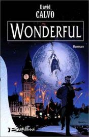 book cover of Wonderful by David Calvo