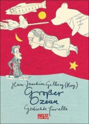 book cover of Großer Ozean by Hans-Joachim Gelberg