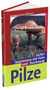 book cover of Pilze. Extra: Urlaubsgebiet Europas by Karin Montag