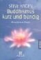 Buddhismus kurz und bündig. Prinzipien und Praxis.