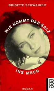 book cover of Wie kommt das Salz ins Meer by Brigitte Schwaiger