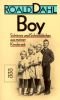 Boy : Schönes und Schreckliches aus meiner Kinderzeit - Tales of Childhood