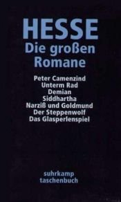 book cover of Die großen Romane by Հերման Հեսսե