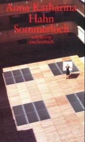 book cover of Sommerloch by Anna Katharina Hahn