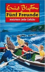 book cover of Fünf Freunde: Fünf Freunde, Neubearb., Bd.22, Fünf Freunde meistern jede Gefahr: Bd 22 by Enid Blyton