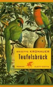 book cover of Teufelsbrück by Brigitte Kronauer