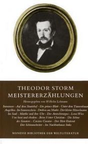 book cover of Meistererzählungen by Theodor Storm