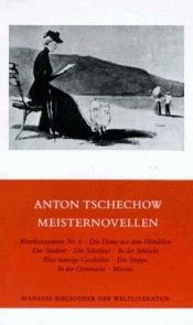 book cover of Meisternovellen by Антон Чехов