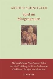 book cover of Spiel im Morgengrauen by Артур Шніцлер