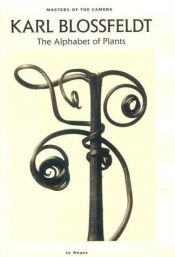 book cover of Karl Blossfeldt: The Alphabet of Plants by Gert Mattenklott