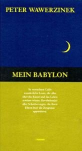 book cover of Mein Babylon by Peter Wawerzinek