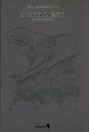 book cover of Schattwand. Ein Bergdrama by Urs Augstburger