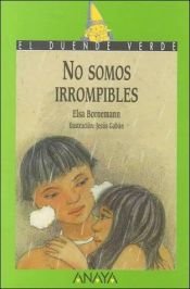 book cover of No Somos Irrompibles by Elsa Bornemann