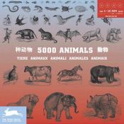 book cover of 5000 Animals (Agile Rabbit Editions) by The Pepin Press